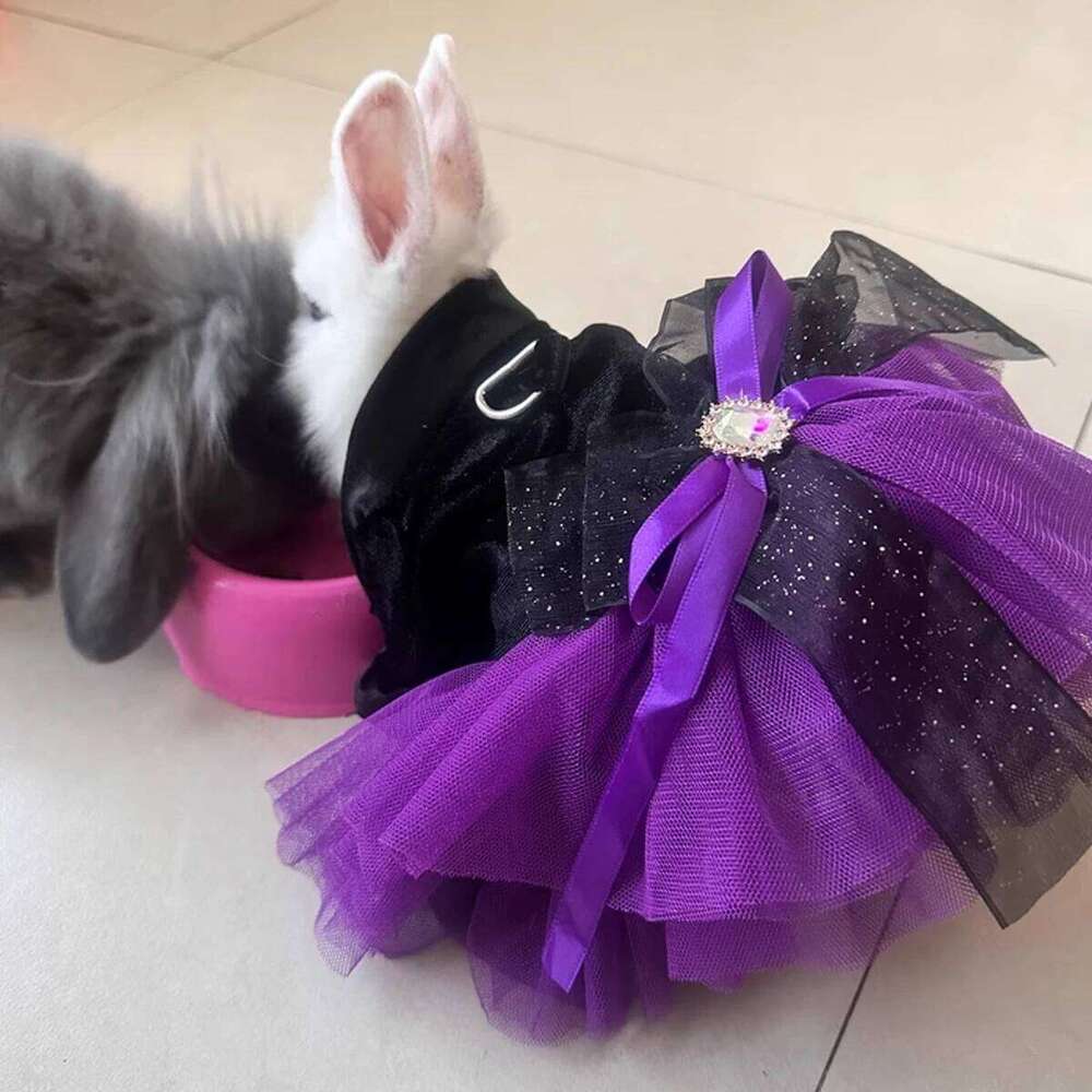 Halloween Pet Clothes Dog Cat Autumn Black Purple Velvet Traction Button Dress XJ260127