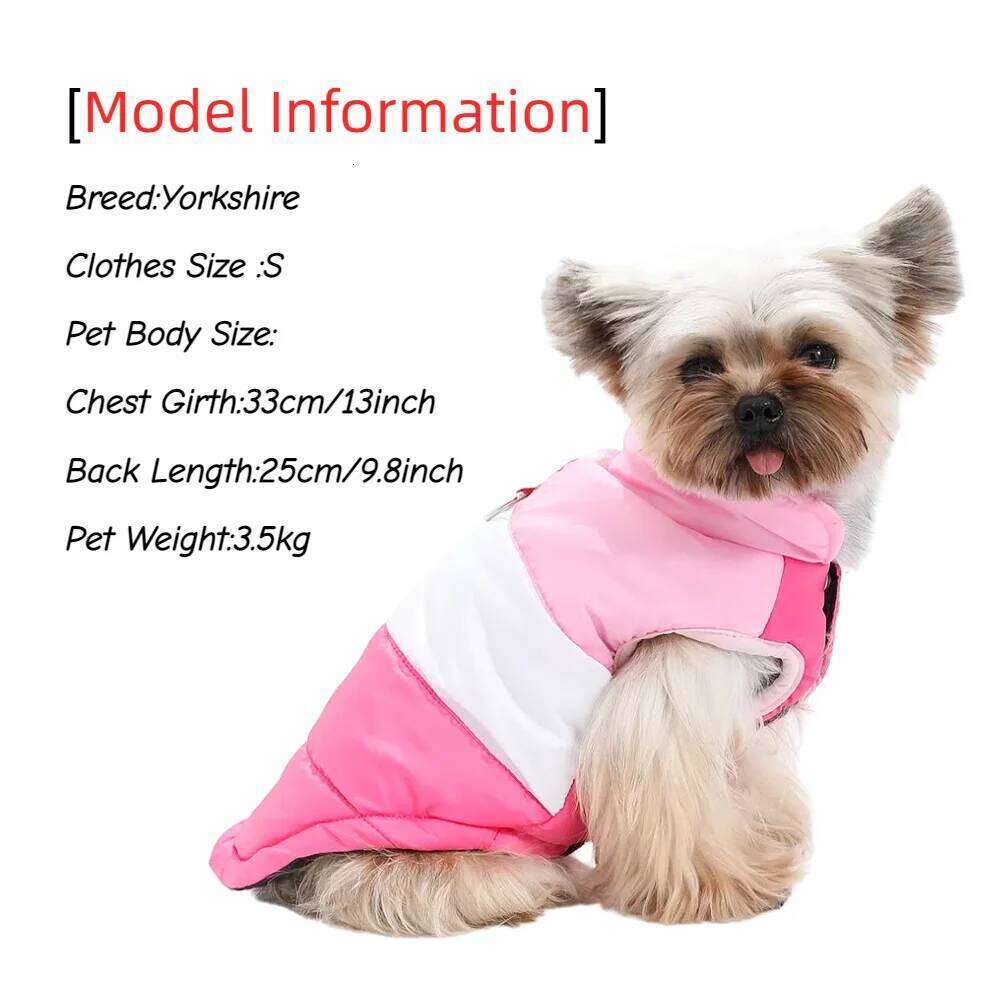 Warm Dog Jacket Button Winter Pet Clothes for Small Medium Dogs Waterproof Puppy Coat With D-Ring Yorkshire Bulldog Apparel XJ260127