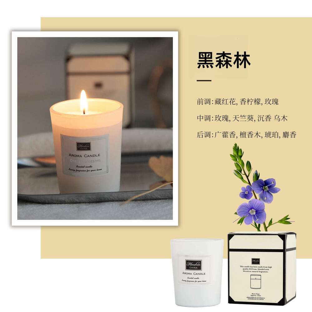 Frosted Cup Handmade Soy Wax Scented Candle Cross-Border Home Bedroom Long-Lasting Fragrance Small Gift Manufacturer Y260127