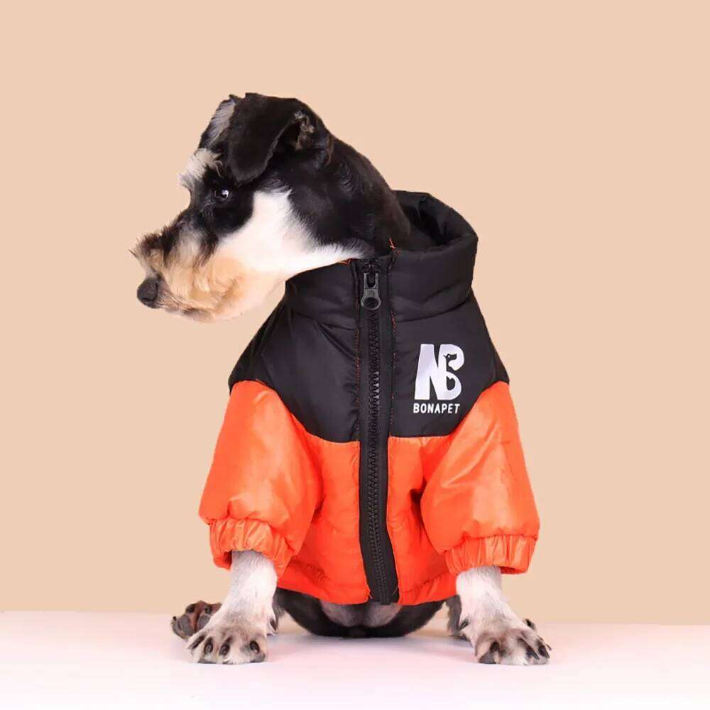 Luxury Down Jacket Winter Pet Clothes for Small Dogs Reflective Large Dog Coat French Bulldog Costume Labrador Husky Outfits XJ260127