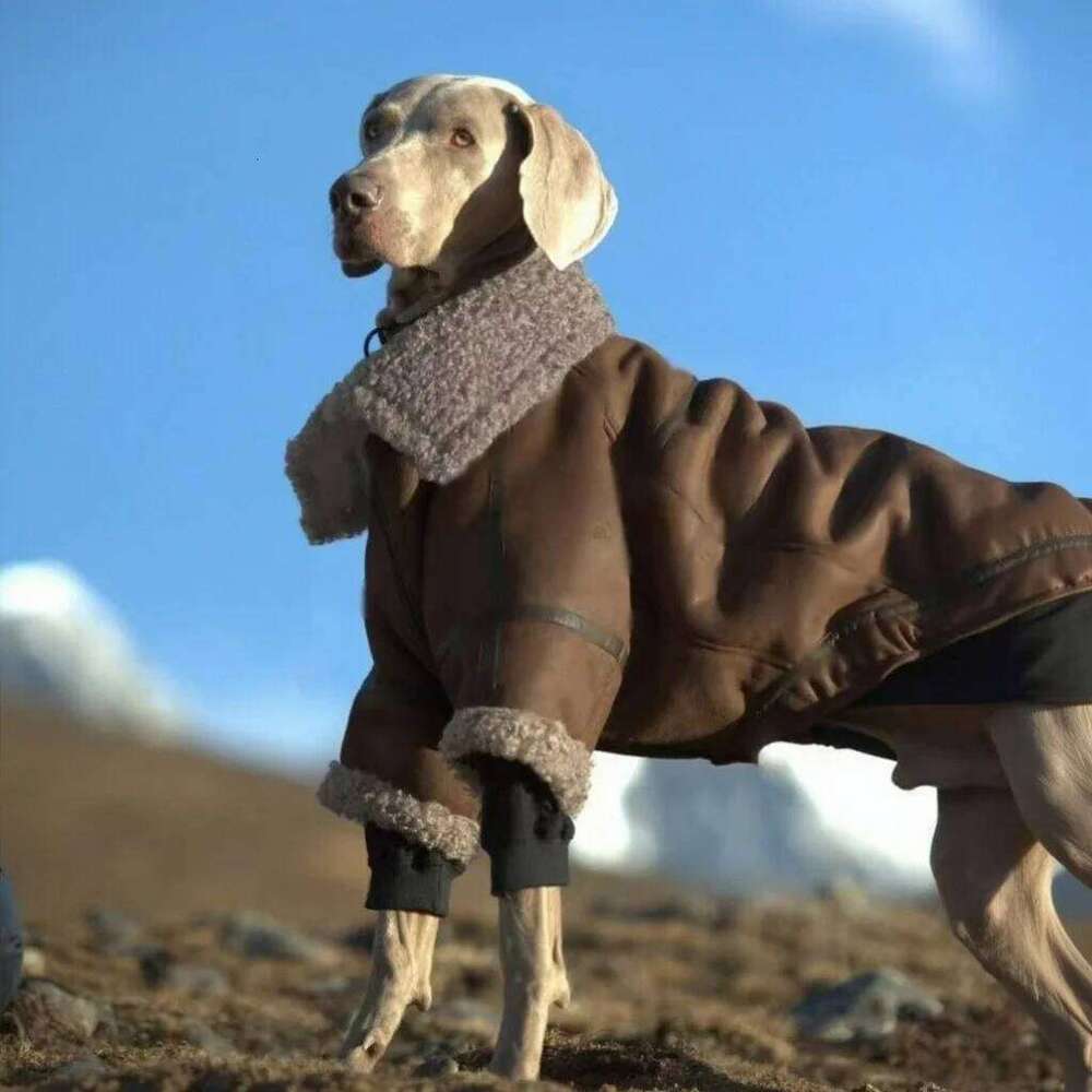 Autumn Winter Large Dogs Fleece-Lined Collared artificial Leather Jacket Personality Dog Coat Golden Retriever Border Collie XJ260127