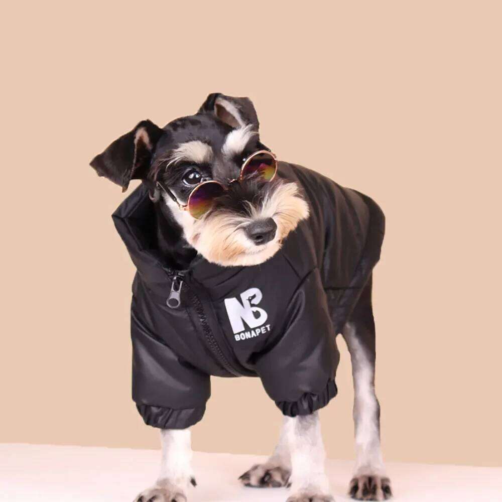 Luxury Down Jacket Winter Pet Clothes for Small Dogs Reflective Large Dog Coat French Bulldog Costume Labrador Husky Outfits XJ260127
