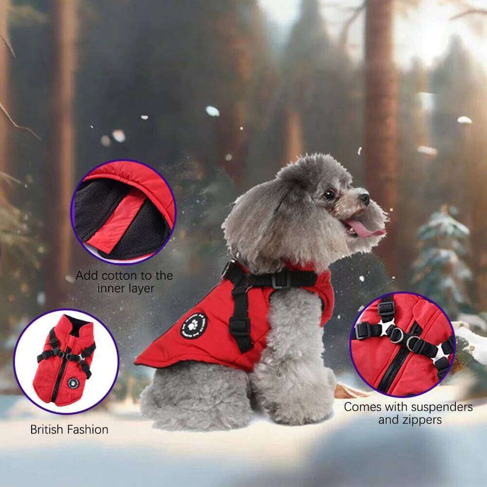 Adjustables Thicken Warm Harness Coat Waterproof Windproof Dog Jacket Autumn Winter Pet Clothes For Outdoor XJ260127