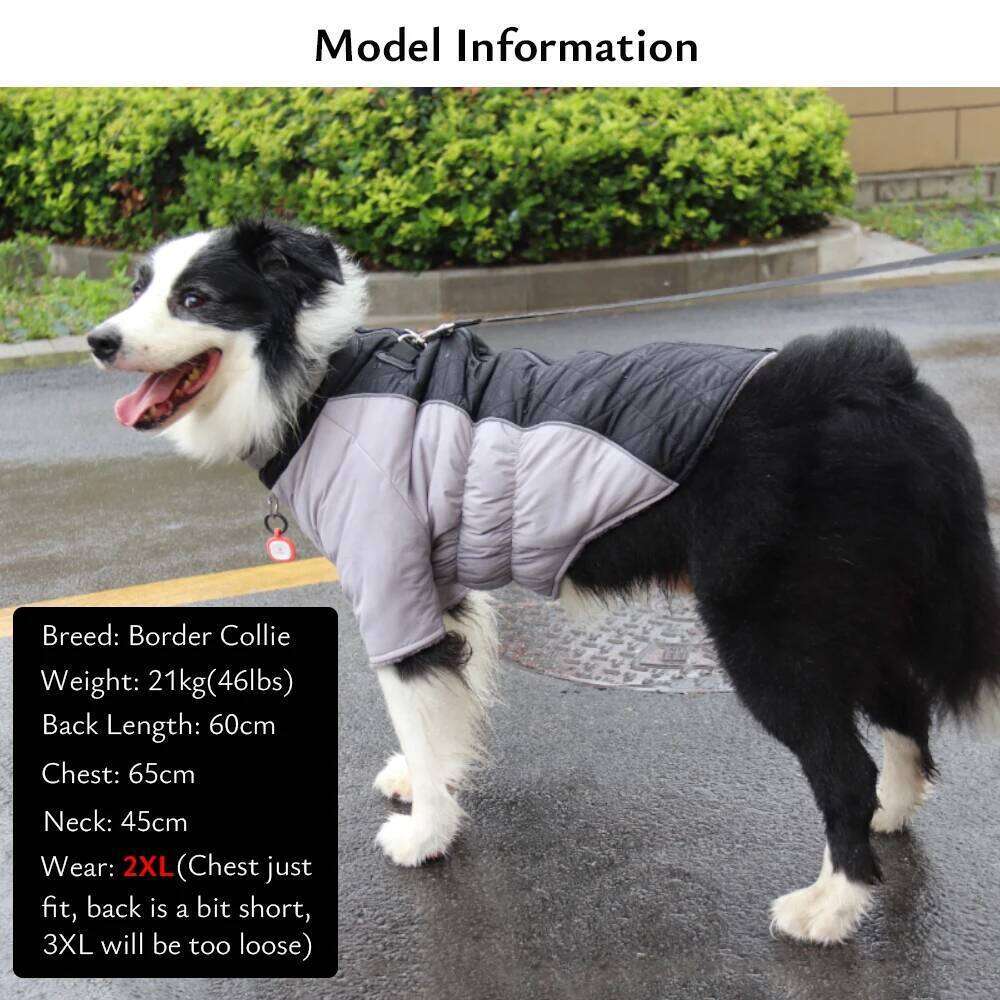 Winter Jackets Waterproof Reflective Warm Pet Coat Small Large Dogs Stretchy Belly Dog Outfit with D-Ring for Leash XJ260127