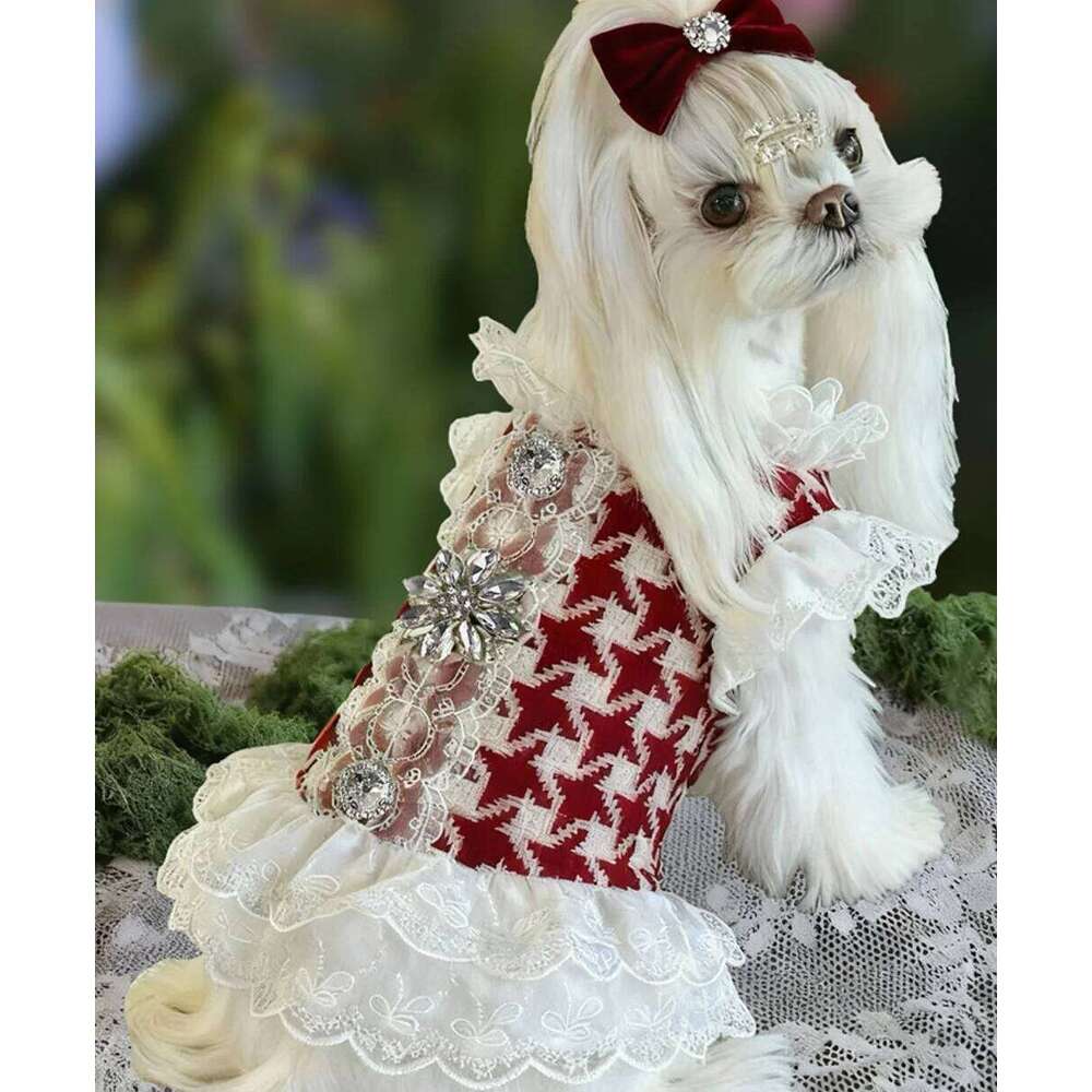 Classic Red Checkered Wool Design Pet - Luxurious Dog Lace Winter Dress