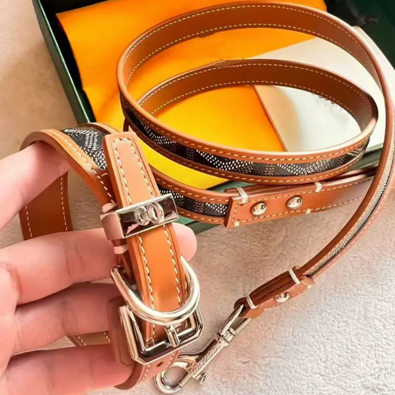 Designer Dog Collar Leash High End Hardware Accessories Adjustable Durable for Small Medium Dogs West Highland Terrier Corgi Pomeranian Luxury Dog Bir