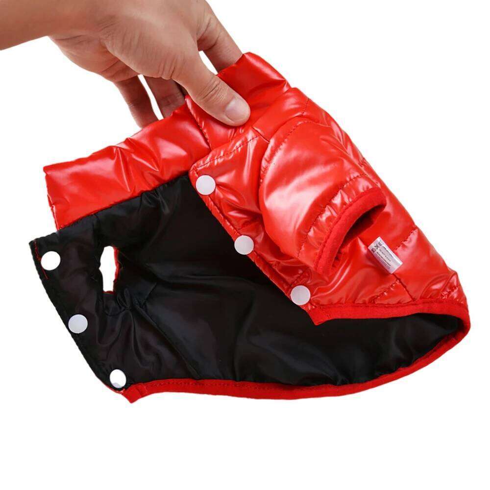 Bright PU Leather Clothes for Small Dogs Puppy Jacket Waterproof Dog Coat Winter Warm Pet Costume Chihuahua Shih Tzu Outfits XJ260127