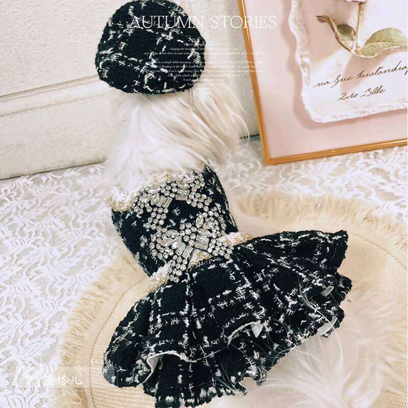 Autumn Winter Luxury Pet Clothing Plush Warm Princess Malzis Yorkshire Puppy Rhinestone Dress Female Dogs Clothes Berets