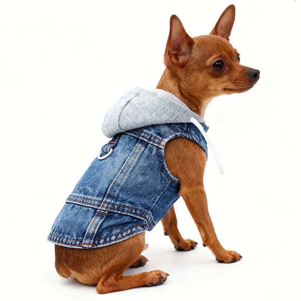 Puppy Harness Jacket Dogs - Breathable Soft Dog Clothes with D-Ring Leash, Lightweight Pet Vest for Small Breed XJ260127