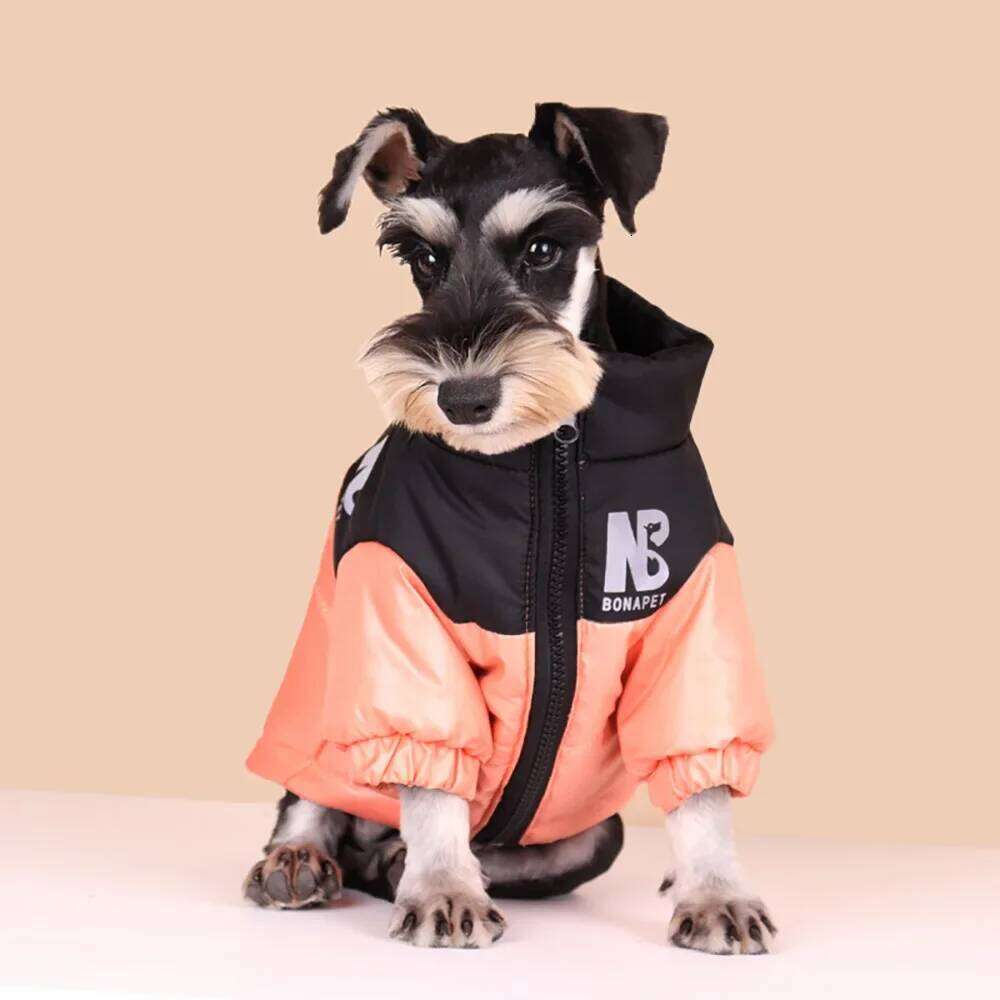 Luxury Down Jacket Winter Pet Clothes for Small Dogs Reflective Large Dog Coat French Bulldog Costume Labrador Husky Outfits XJ260127