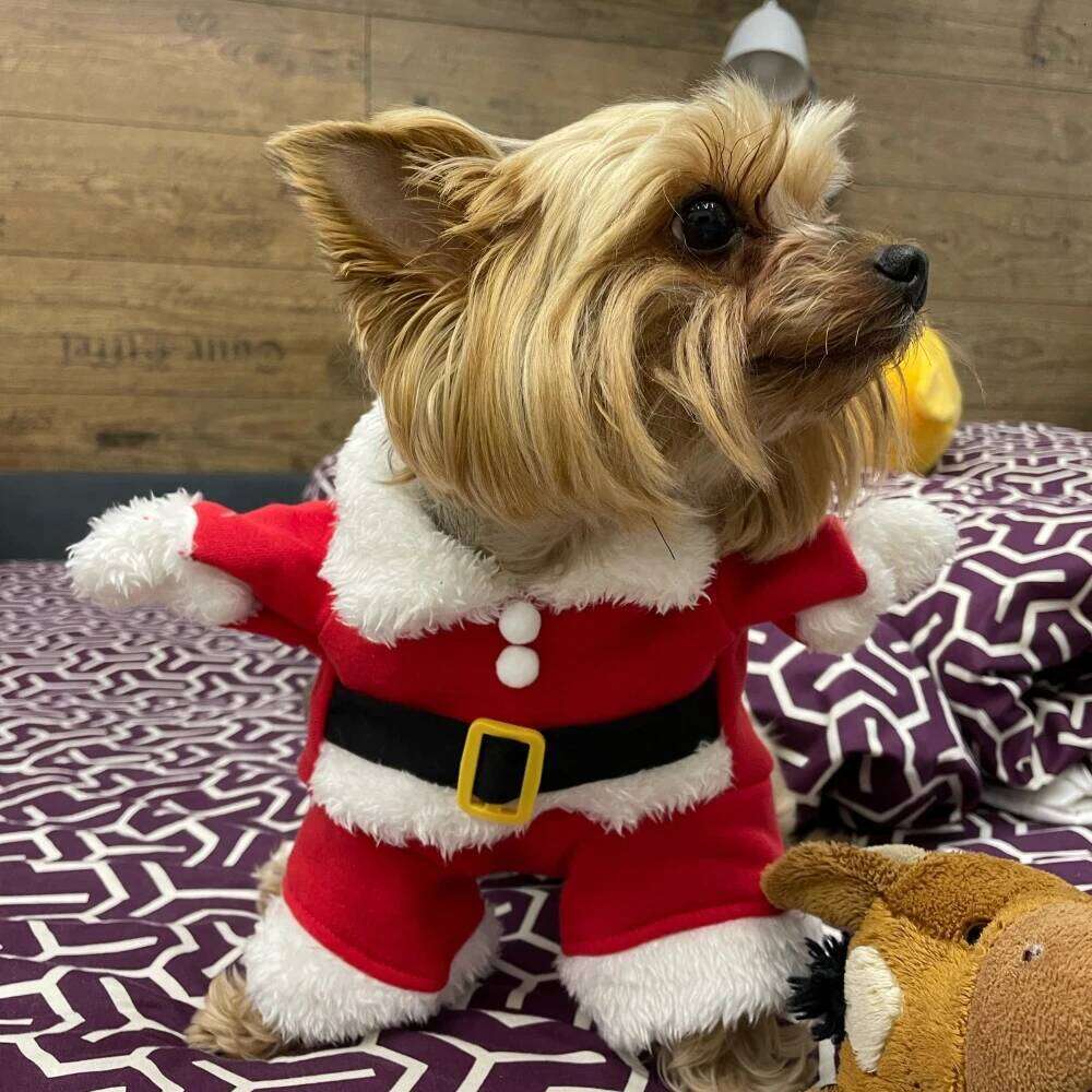 Winter Pet Dog Jacket Coat For Small Medium Dogs Cat Christmas Puppy Party Dressed Up Costume Cute Clothing French Bulldog Pug XJ260127