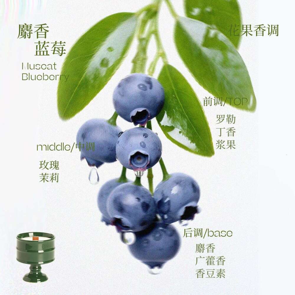 Bai Mi Container Cup Handmade Home Indoor Soy Wax Candle Aromatherapy Fragrance Y260127