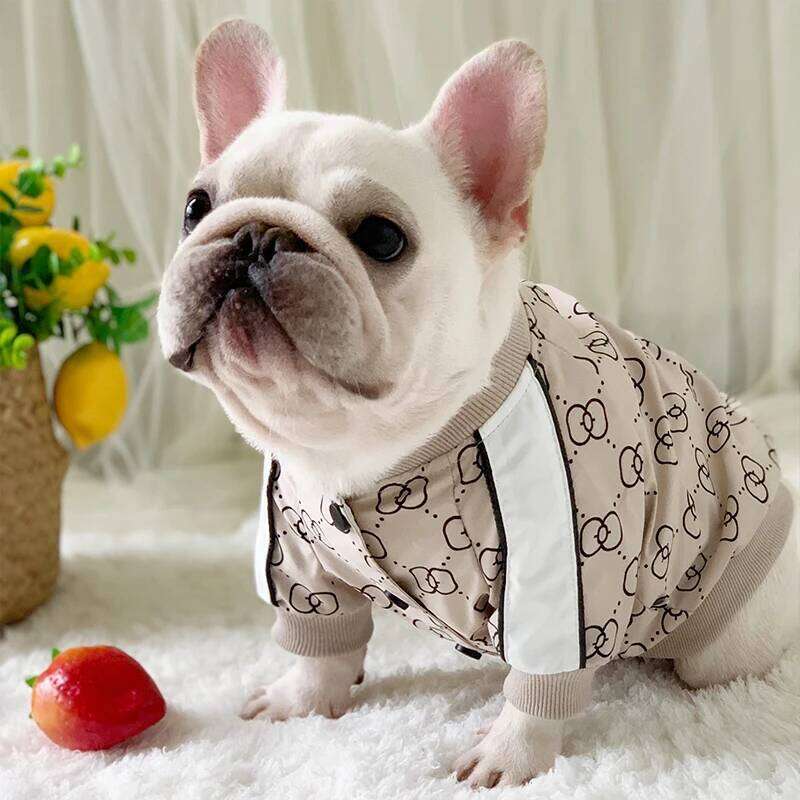 Winter Pet Clothing Fat Dogs Jackets Designer Luxurious Fashion Comfortable Warm Jacket Puppy Clothes Bulldog Bago Dog Costume