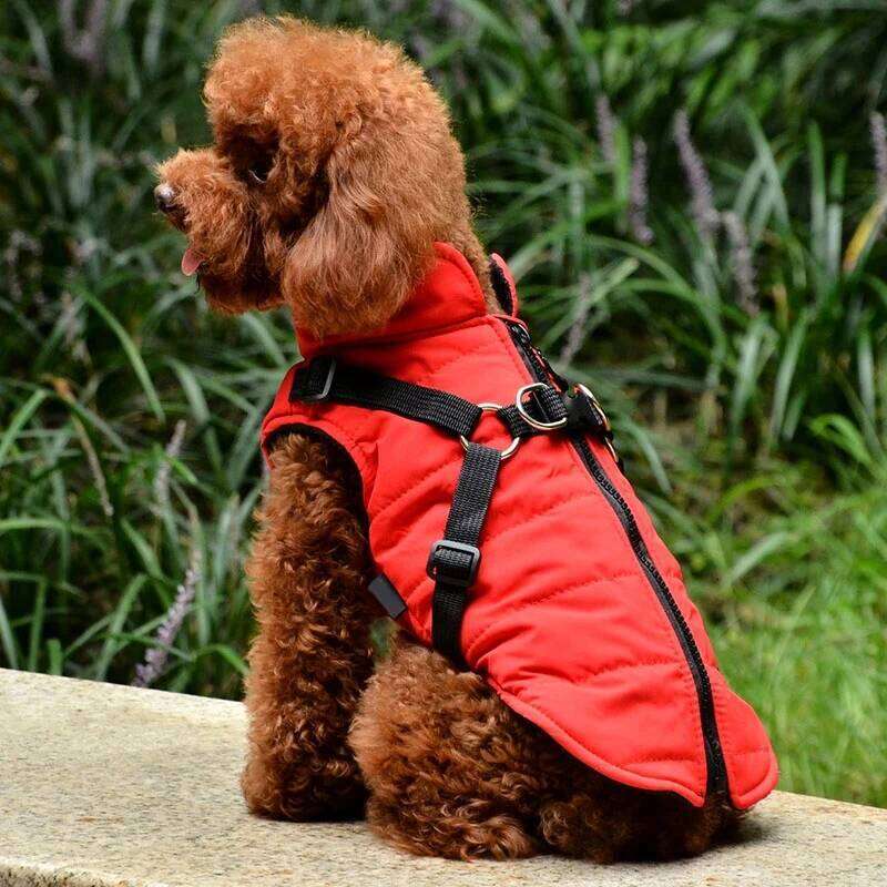 Winter Warmth Vest with Integrated Harness Padded Pet Jacket Zipper Closure Dog Coat Comfortable and Safe for Small Breeds XJ260127