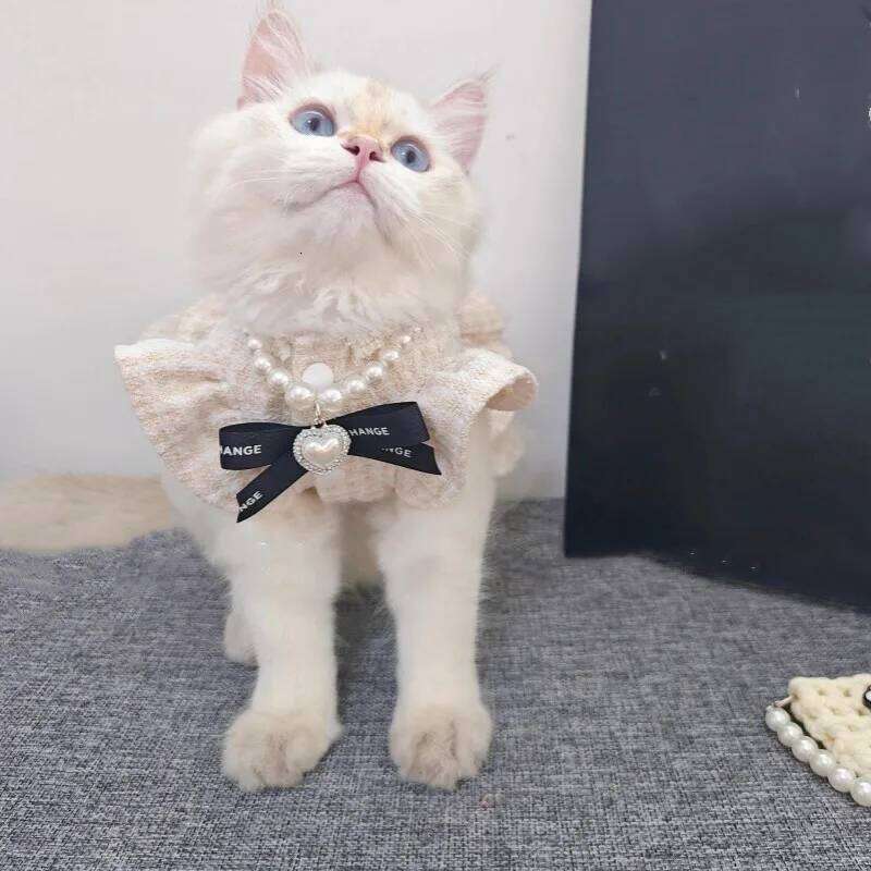 Camellia Elegant Classic Design Pet Dress For Ladylike And Noble & Style Puppy Small Dogs' Clothing pet supplies Dogs'