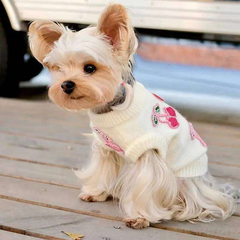 Autumn Winter New Pet Sweater Princess Style Cherry Patternor Small Maltese, Bichon Teddy Warm Soft Knitwear For Dogs