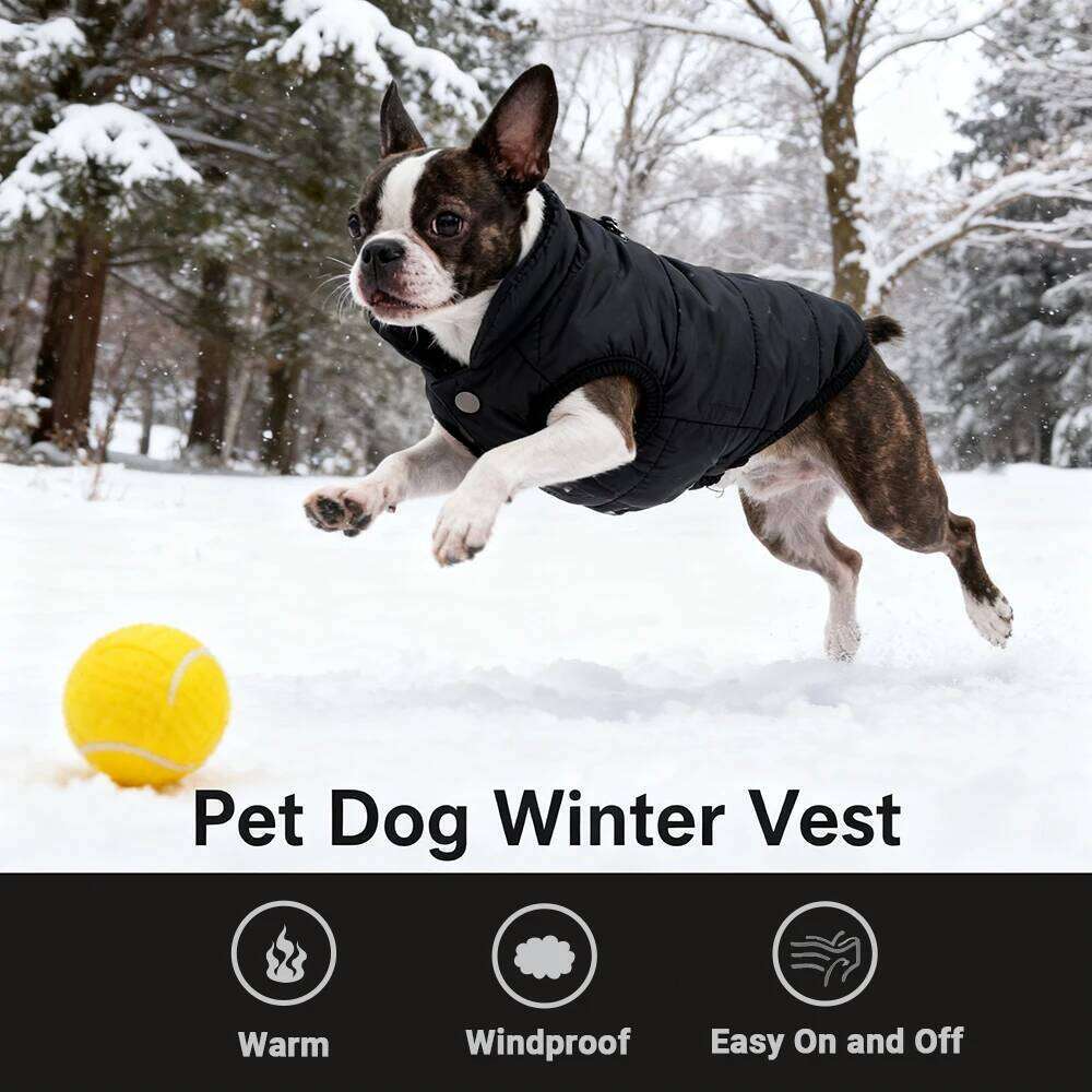 Winter Pet Dog Clothes For Small Medium Dogs Puppy Cat Coat Warm Fleece Vest Windproof Chihuahua Yorkie Padded Jacket Costume XJ260127
