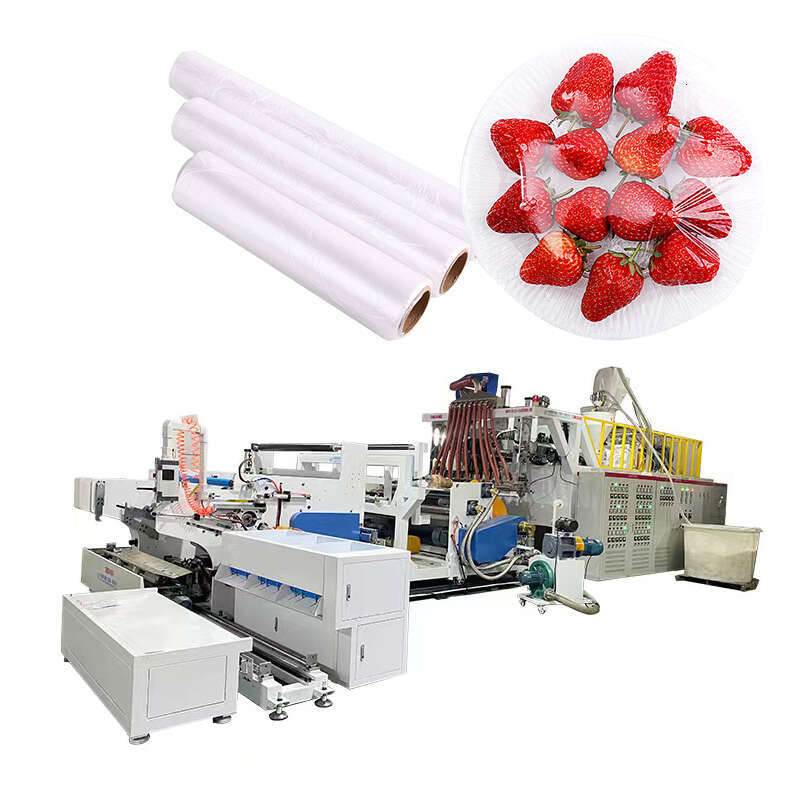 Reliable Operation Plastic Stretch Film Making Machine 1500mm 2 Layer Cast Line for LLDPE PE Material High Strength Wrapping Film Rolls