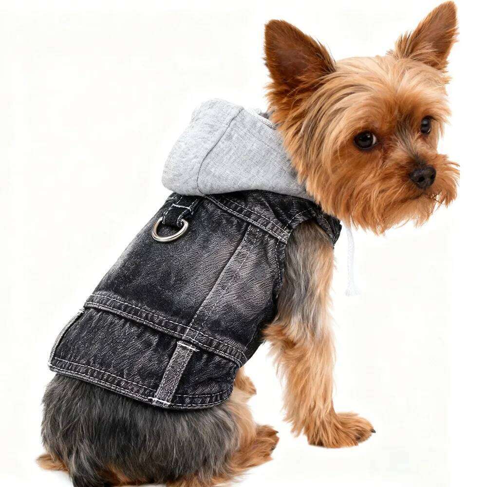 Puppy Harness Jacket Dogs - Breathable Soft Dog Clothes with D-Ring Leash, Lightweight Pet Vest for Small Breed XJ260127