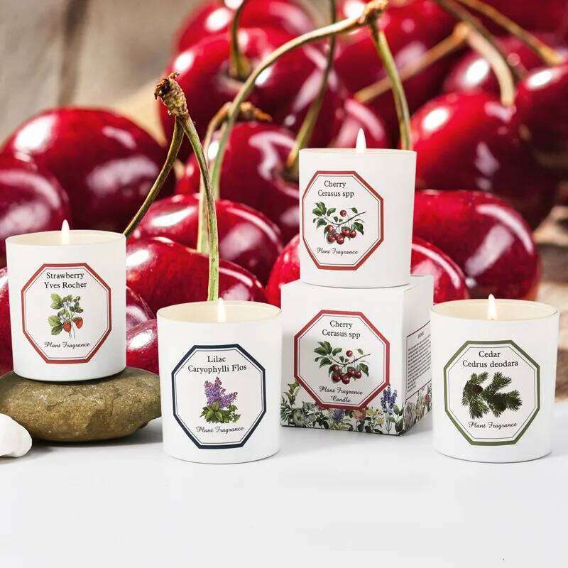 Plant Aromatherapy Handmade Soybean Wax Essential Oil Smokeless Fragrance Scented Candle Romantic Decoration Return Gift Y260127