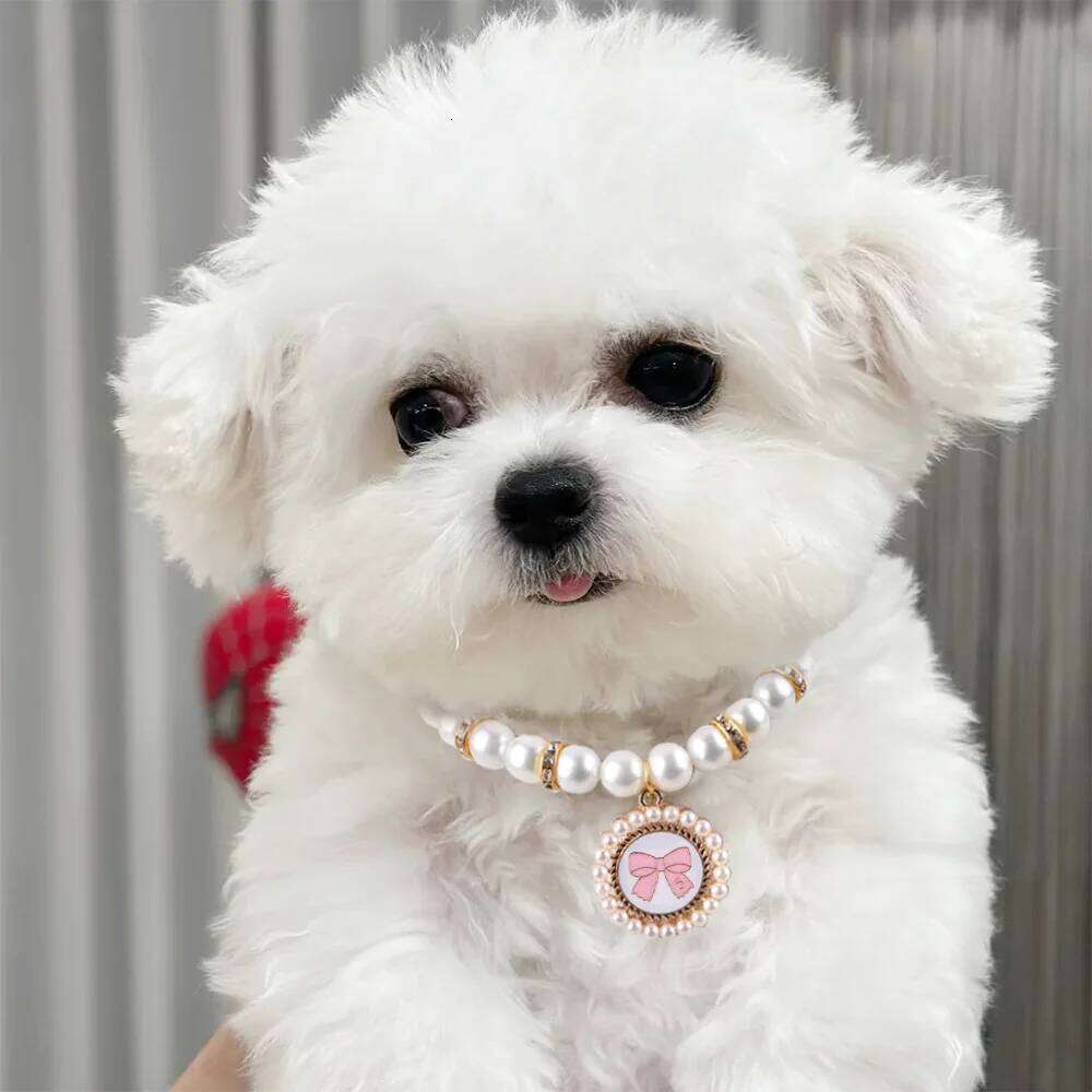 Pet Diamond Heart-Shaped Pearl Collar, Dog Pendant, Cat Necklace, Pet Jewelry