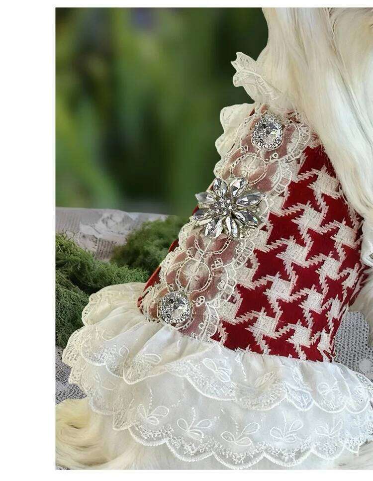 Classic Red Checkered Wool Design Pet - Luxurious Dog Lace Winter Dress