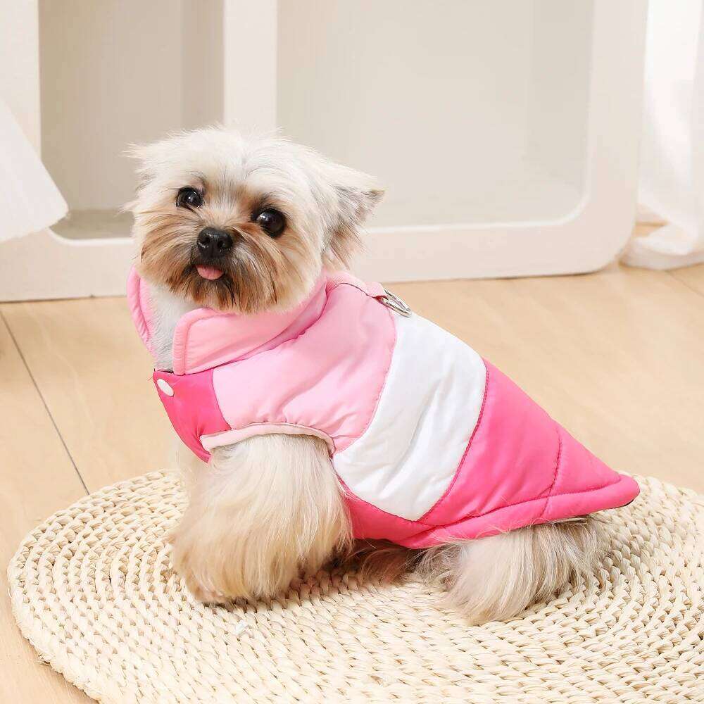 Warm Dog Jacket Button Winter Pet Clothes for Small Medium Dogs Waterproof Puppy Coat With D-Ring Yorkshire Bulldog Apparel XJ260127