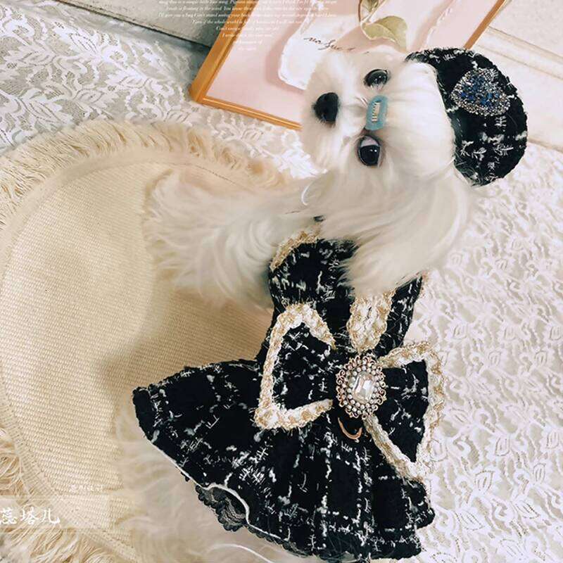 Autumn Winter Luxury Pet Clothing Plush Warm Princess Malzis Yorkshire Puppy Rhinestone Dress Female Dogs Clothes Berets