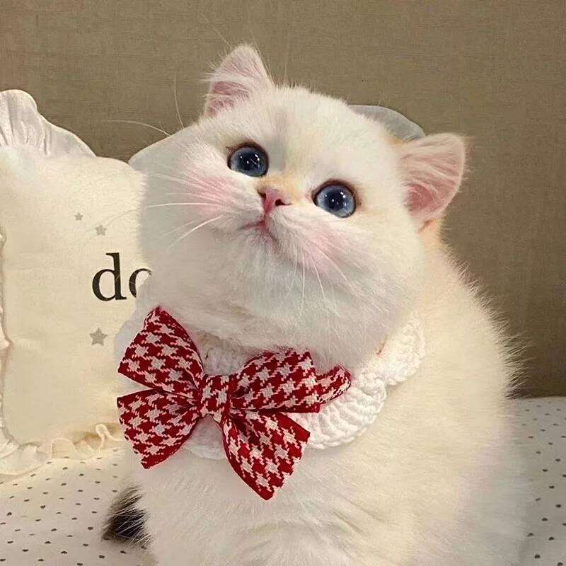 Crocheted Cute Cat Wool Bowtie Collar Bow Pet Bib for & Cats Kitten and Small Dogs Puppies Tie Accessories pet supplies