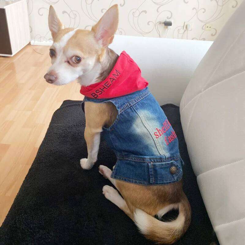 Summer Jeans Series Dog Shirt Denim Clothes for Small Dogs Puppy Chihuahua Cowboy Jacket French Bulldog Outfit Cat Costumes XJ260127