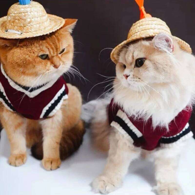 1PC Pet Cat Solid Costume Autumn Winter Christmas Sweater Hoodie Small Dog Kitten Pullover Puppy Vest Clothe Kitty Jacket Outfit XJ260127