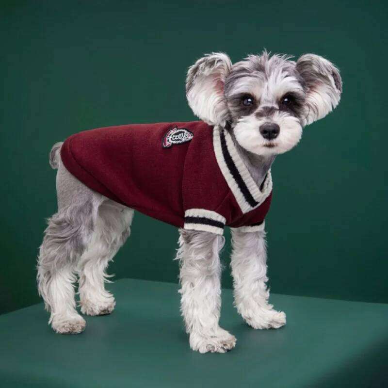 1PC Pet Cat Solid Costume Autumn Winter Christmas Sweater Hoodie Small Dog Kitten Pullover Puppy Vest Clothe Kitty Jacket Outfit XJ260127