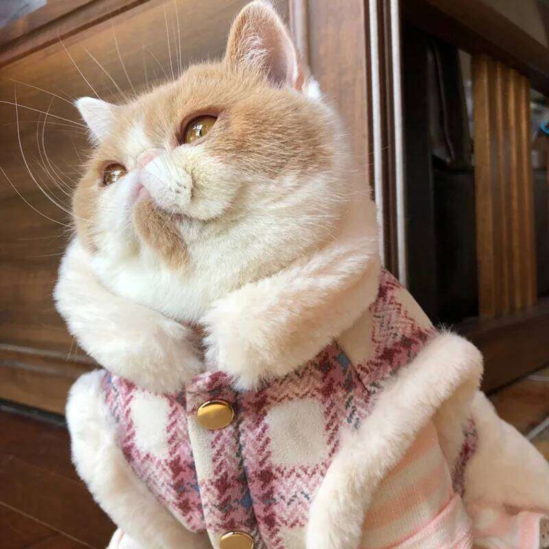 Super Warm Winter Pet Cat Dog Jacket Vest Clothes for Cats Puppy Soft Kitten Coat with Fur Collar chats Clothing ropa para gatos XJ260127