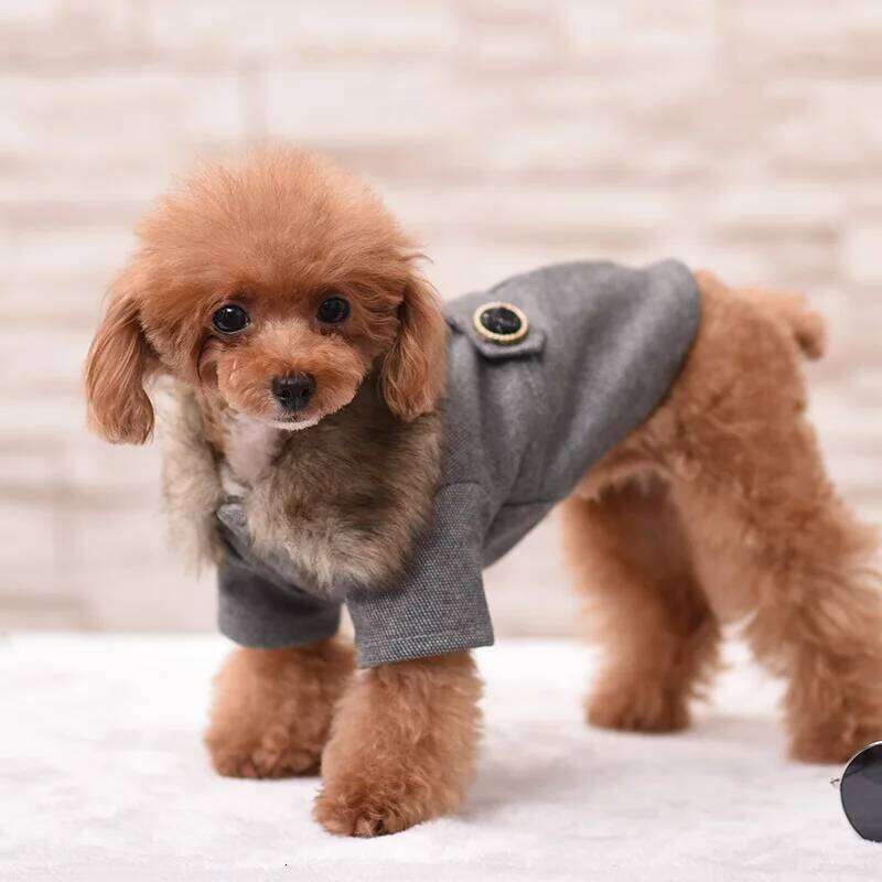 Clothes Winter with Fur for Puppy Medium Dogs Autumn Cat Dog Jacket XS-3XL Fleece Woolen Coat Pet Products XJ260127