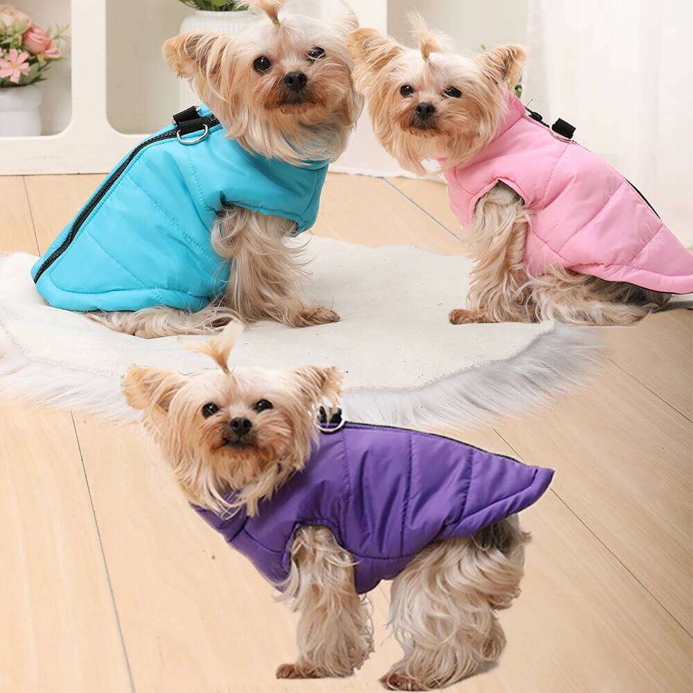 Winter Clothes Cold Proof D-ring Warm Dog Jacket PP Cotton Outdoor Puppy Clothing Coat Chihuahua French Bulldog Outfits XJ260127