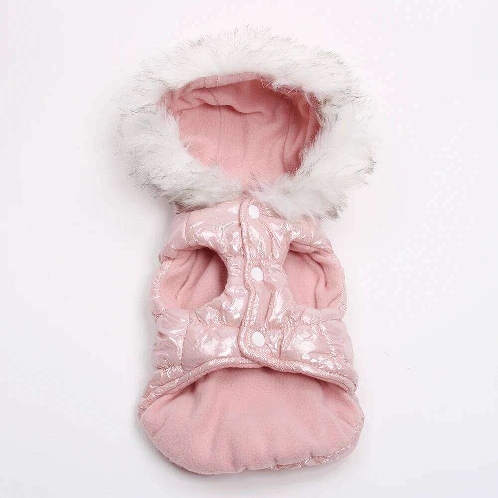 Winter Dog Clothes Warm Down Coat for Small Dogs Thicken Waterproof Hooded Puppy Pet Jacket Windproof Clothing Overalls XJ260127