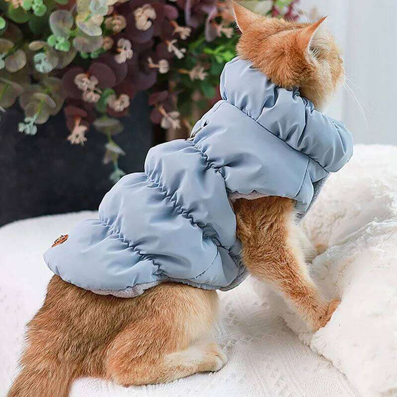 Warm Dog Clothes Winter Vest For Small Dogs Dachshund Shih Tzu Pet Costumes Sleeveless Clothing Puppy Down Jacket Suit XS XJ260127