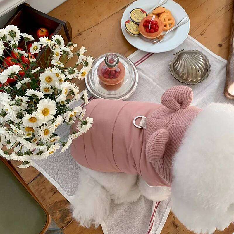 FAshion Winter Pet Down Jacket Dog Thickened Cotton Teddy Warm Hooded Clothes Puppy Plain-coloured Two-legged Coat XJ260127