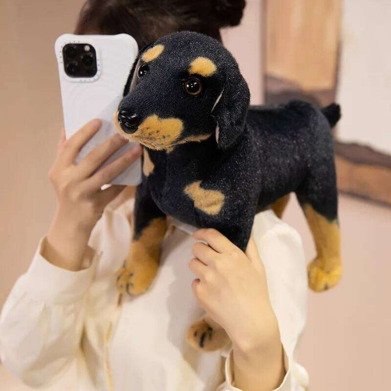 Rottweiler Simulated 3d Simulation Standing Black Dog Plush Stuffed Doberman Animal Super Realistic kid Christmas Halloween Gift Y260128