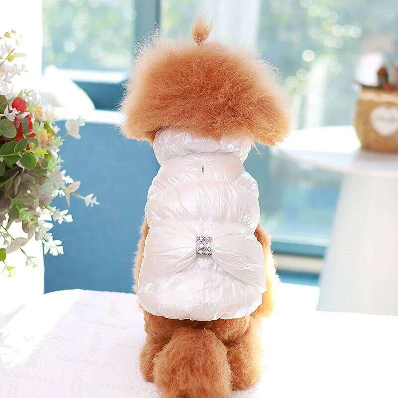 XS-XXL Cat Princess Vest Fleece Coat Warm Clothes Down Jacket for Small Medium Dog Pet Clothing Bulldogs Puppy Costume Coats XJ260127