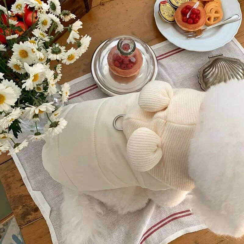 FAshion Winter Pet Down Jacket Dog Thickened Cotton Teddy Warm Hooded Clothes Puppy Plain-coloured Two-legged Coat XJ260127