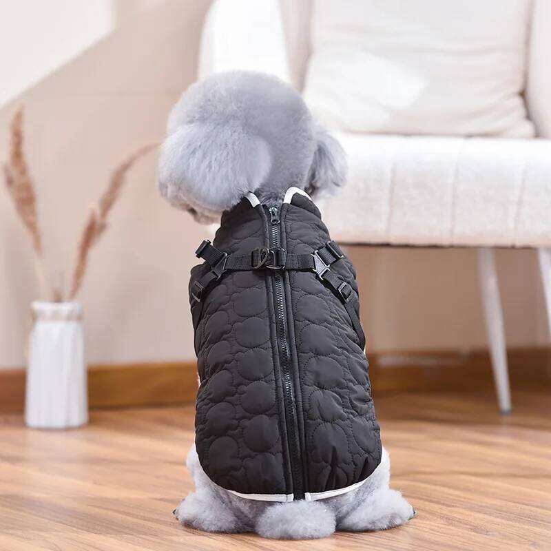 Bear Coat For Small Medium Dog D-Ring Puppy Anmial Jacket Winter Warm Cotton Paded Fleece XS 4XL Pet Harness Vest Outfit Clothes XJ260127