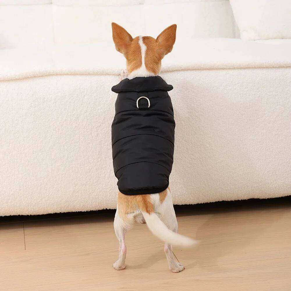 Pet Clothes Waterproof Winter Coat Fleece Thickened Cotton Jacket with D Shape Ring Warm Dog Vest Outdoor XJ260127