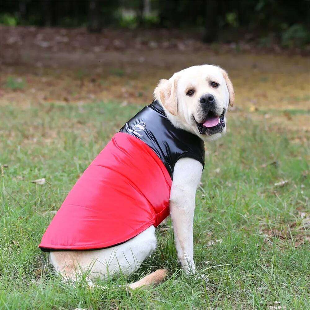 Golden Retriever.Waterproof Winter Jacket Clothes for Medium Large Dogs Warm Big Dog Padded Vest Clothing Labrador XJ260127