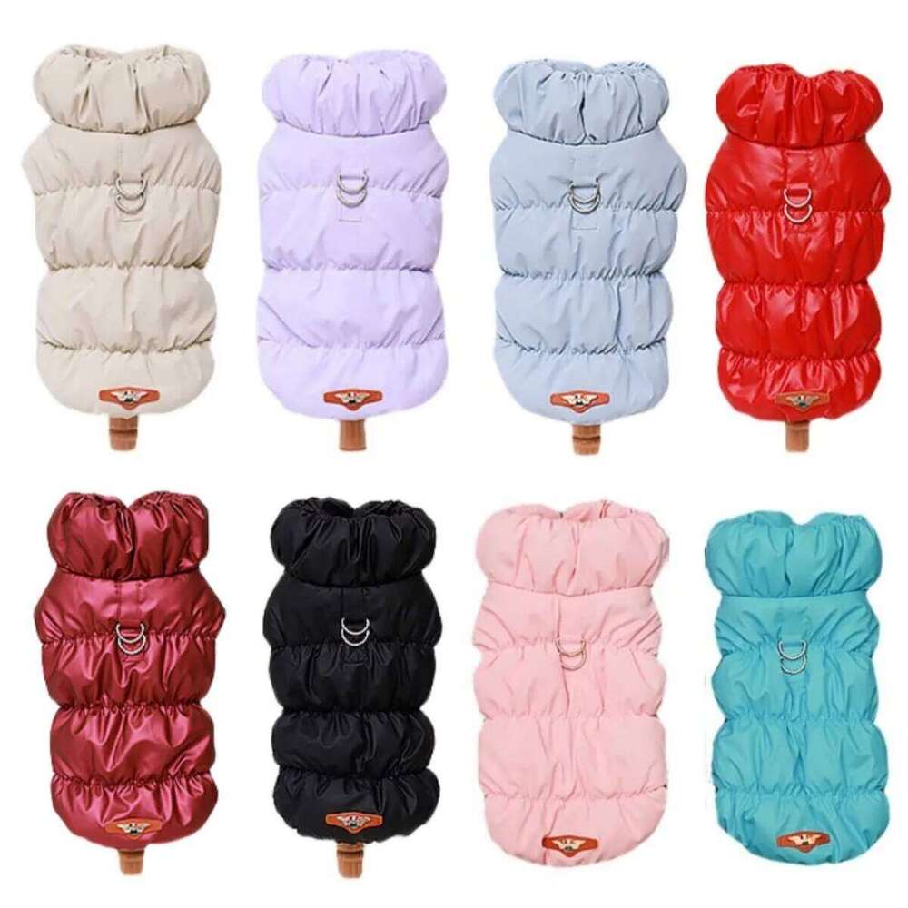 Warm with Leash Buckle Cat Winter Clothing Down Coat for Puppy Dog Apparel PU Jacket Pet Product XJ260127