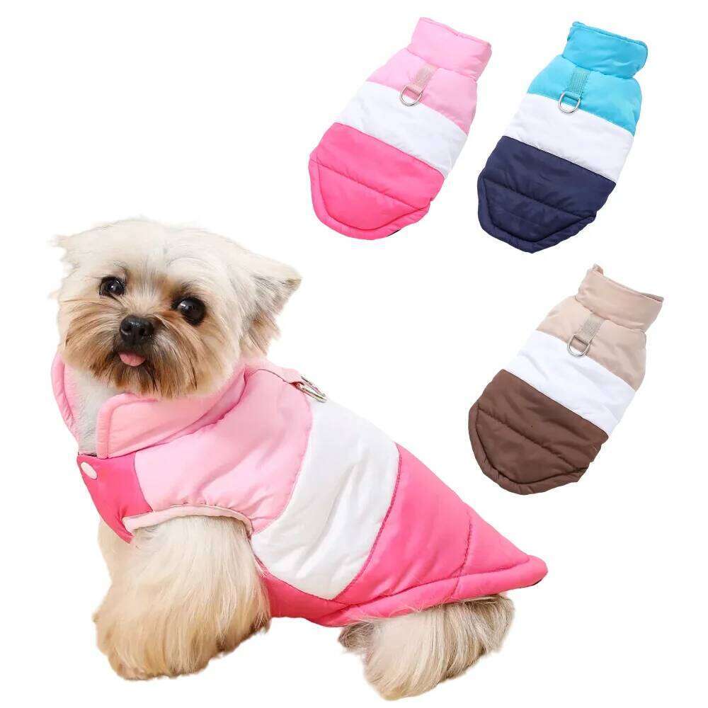 Winter Dog Clothes for Small Medium Dogs Warm Pet Jacket With D-Ring Windproof Waterproof Puppy Coat Chihuahua Yorkshire Outfits XJ260127