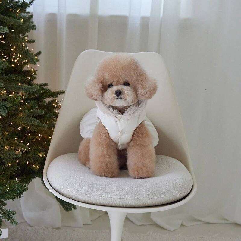 Pet Thick Coat Autumn/Winter Christmas New Year Small Dog Schnauzer Teddy Bow Hat Cotton Jacket Puppy Clothes XJ260127