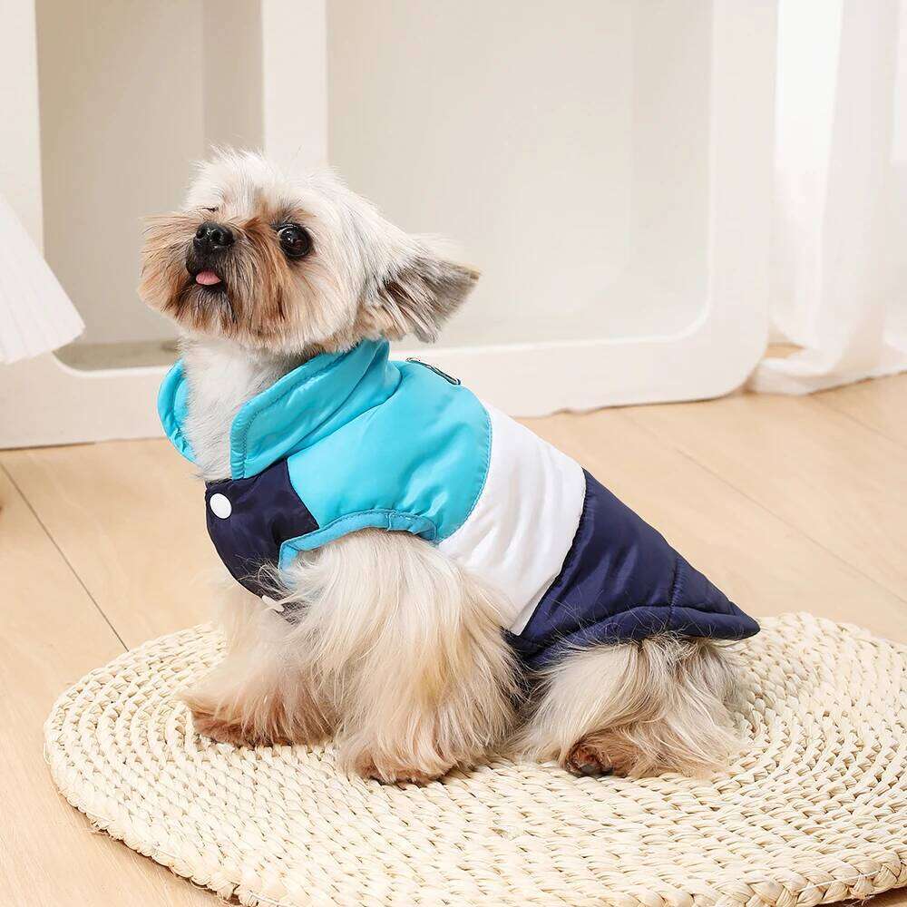Pet Hiking Jacket With R-ing Warm Clothes Windproof Outdoor Camping CoatFor Small Dog Coat Chihuahua Yorkshire Outfits XJ260127