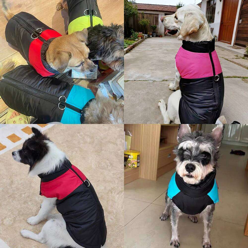 Warm Pet Clothes Winter Waterproof Costume Outdoor Puppy Jacket Coat With D-Ring For Small Large Dog Cat French bulldog Overalls XJ260127