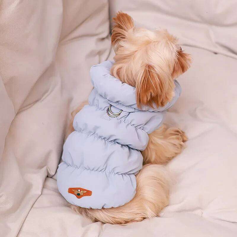 Luxury Winter Vest Warm Cotton Pet Jacket Coat Thickened Designer Dog Clothes with D-ring Ropa Para Perro XJ260127